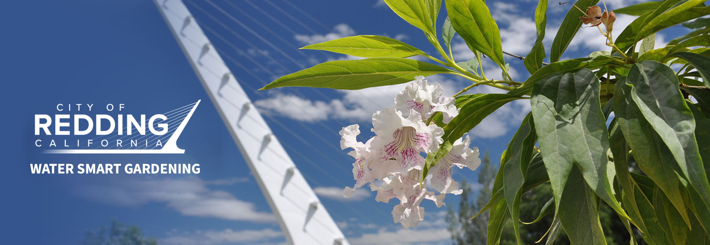 Redding Bridge